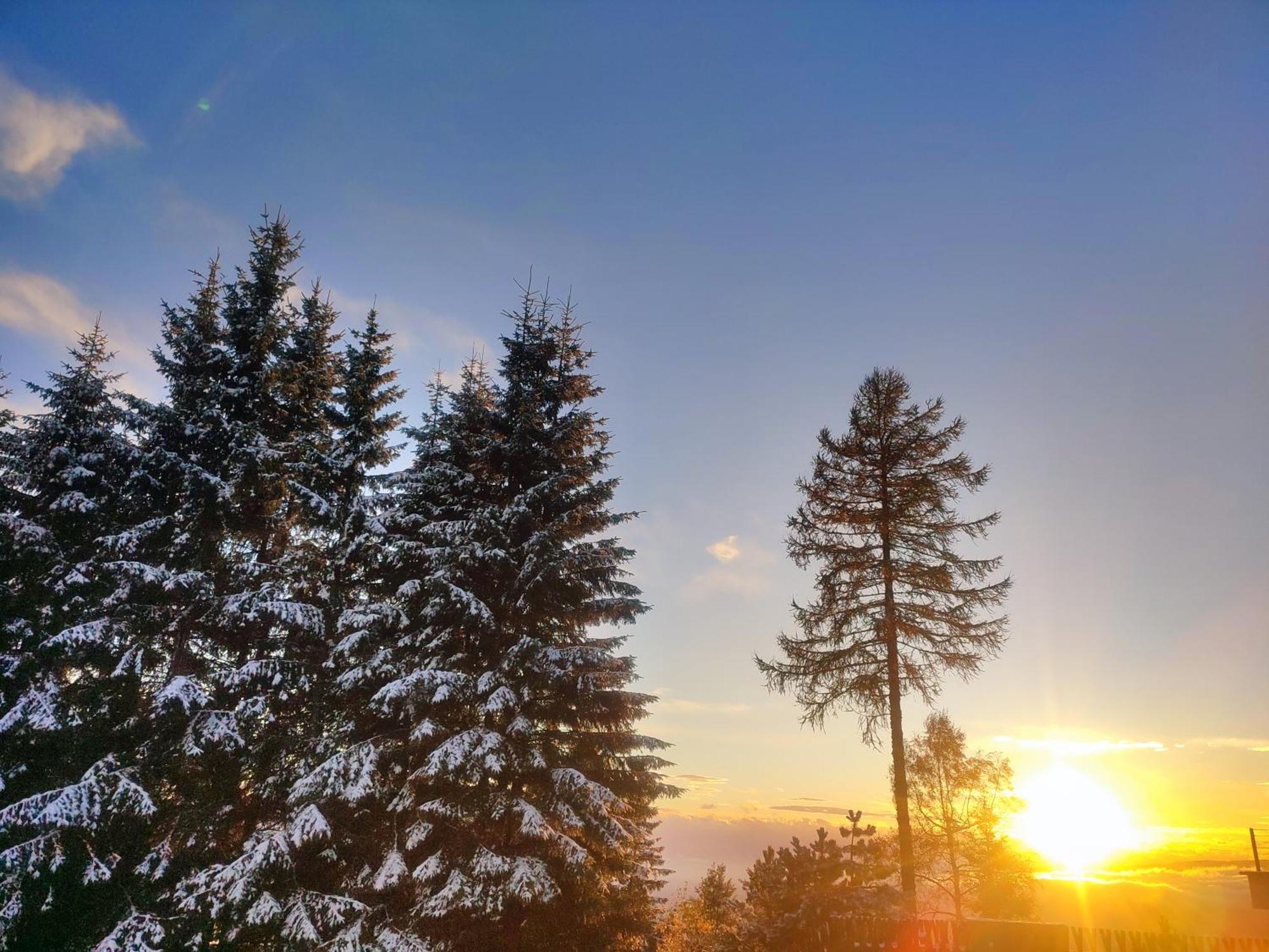 Nature Living Koralm - Neue Chalets Auf Der Koralpe Im Schi- Und Wanderparadies Sankt Stefan im Lavanttal Eksteriør billede